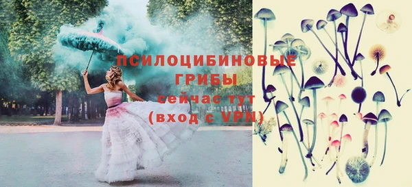 apvp Козельск